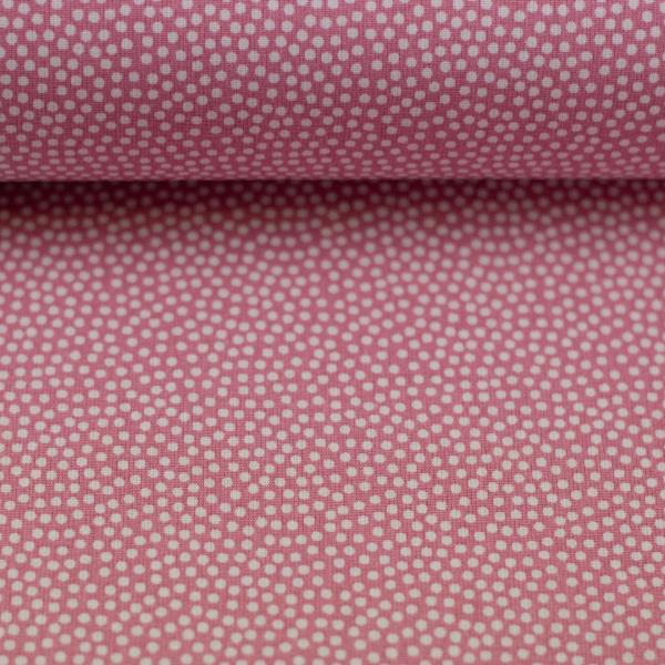 Baumwolle Dotty Altrosa/Weiß by Swafing